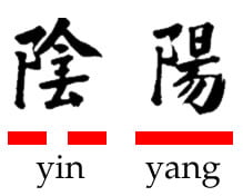 El Yin y el Yang 5